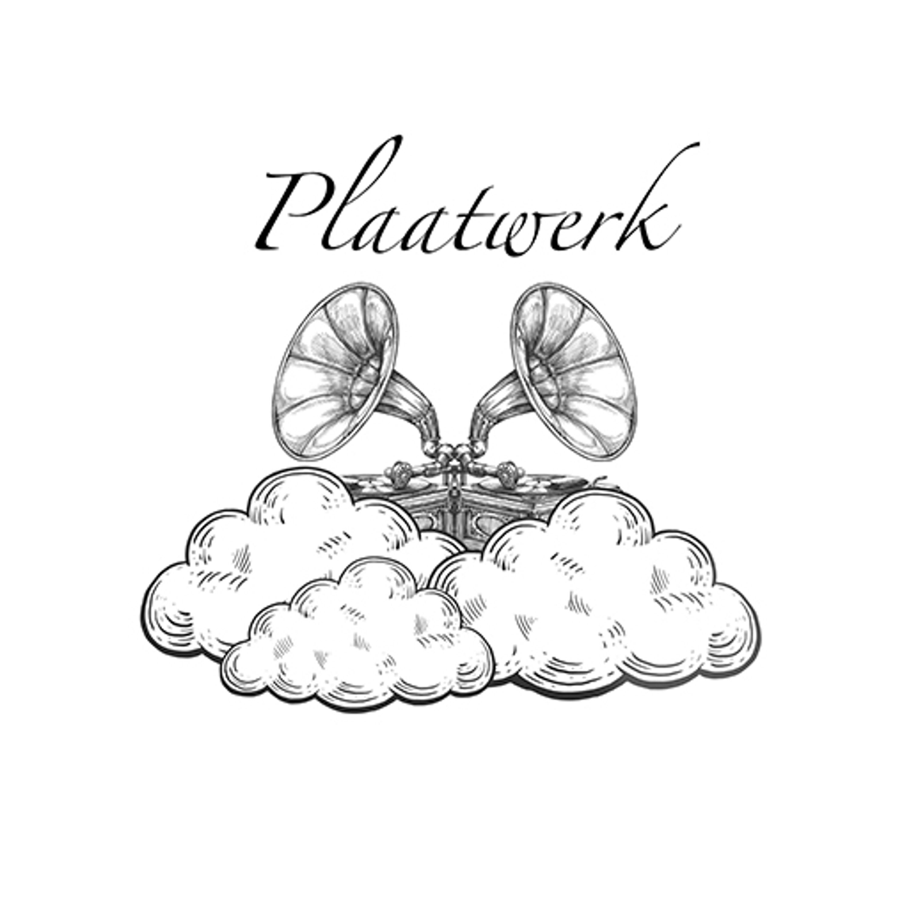 Plaatwerk