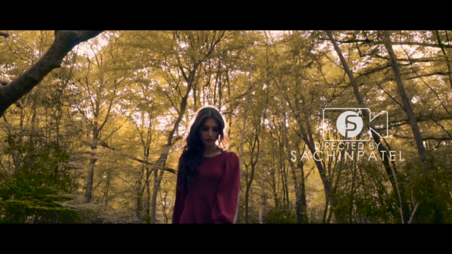 NATRAJTV Music- Arjun Shoulda met me first -desipop