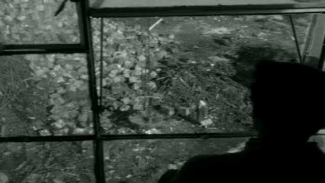 Een wonderlijke hobby (1963)