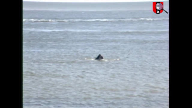 Amsterdamse Inlichtingen Dienst