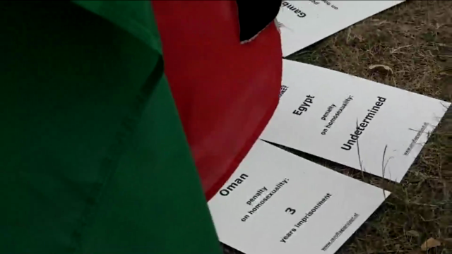 Hans Verhoeven en Frits Huffnagel over de 71 vlaggen......