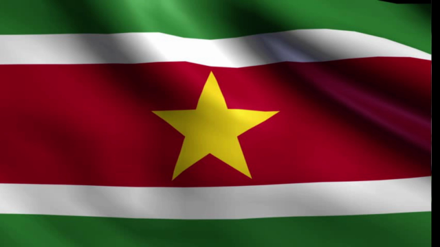 Как выглядит флаг suriname