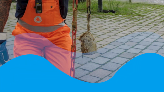 RIOOLJOURNALISTIEK: Vetvretende bol in het riool