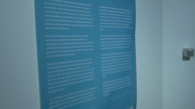 ADE_Eva hate me love me_Mediacollege